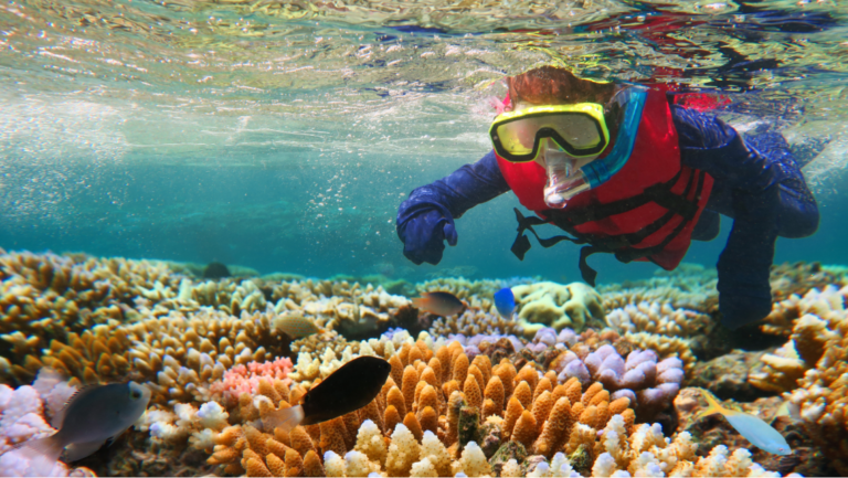 Ultimate Great Barrier Reef Cruises