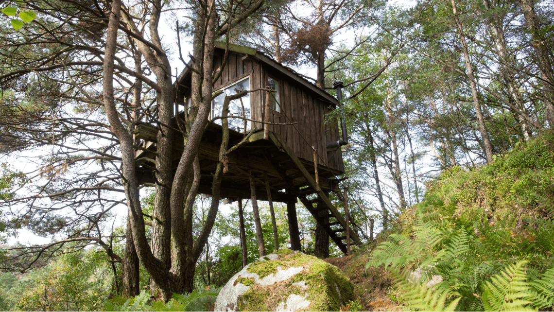unusual places to stay in France A Treehouse
